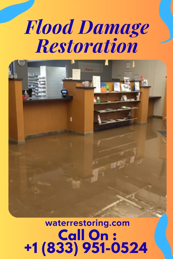 Flood Damage Restoration in Nahunta, GA